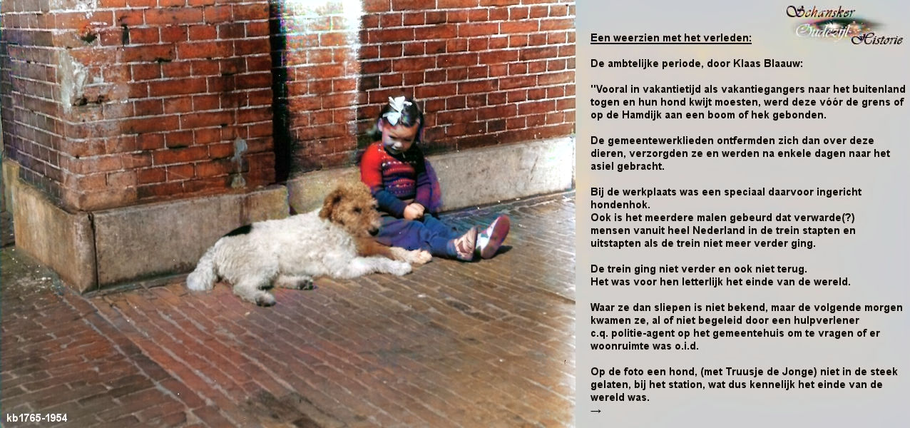 9 Image