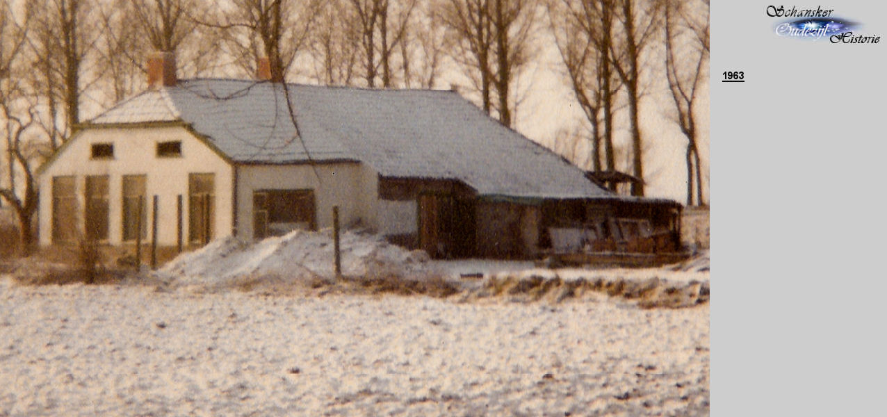 41 Image