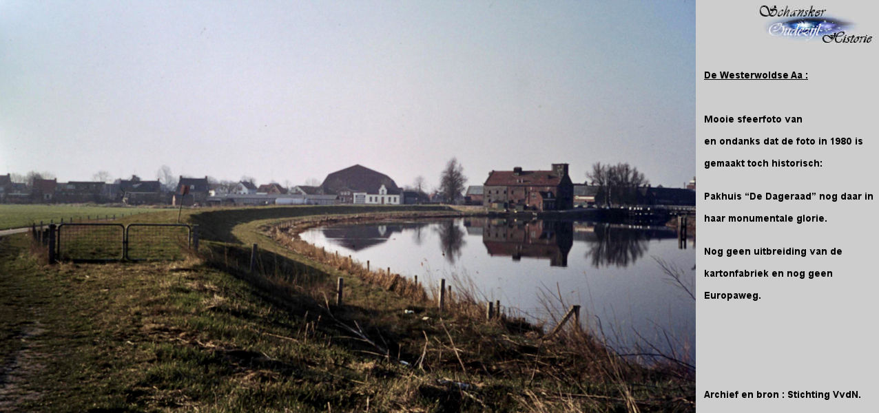 12 Image
